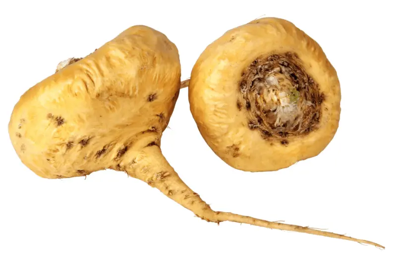 maca
